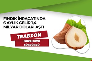FINDIK İHRACATINDA 6 AYLIK GELİR 1,4 MİLYAR DOLARI AŞTI: TRABZON LİDERLİĞİNİ SÜRDÜRDÜ